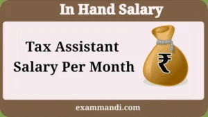 Tax Assistant Salary 2026