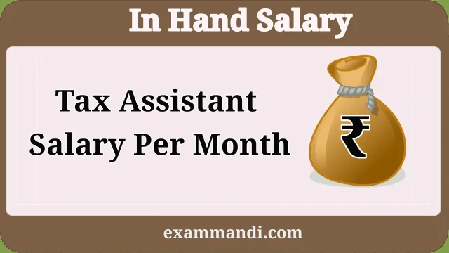 Tax Assistant Salary 2026
